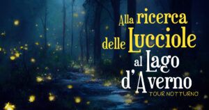 CAMPANIA ECONOMY - Weekend A Napoli